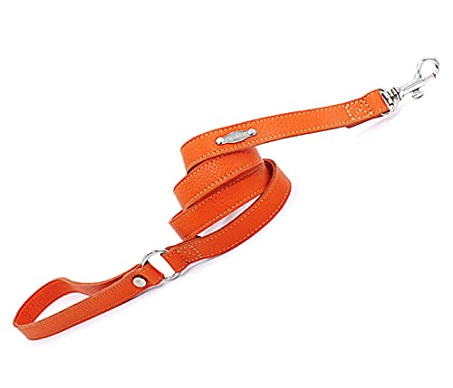 PUPAKIOTTI Basic Hundeleine | Kleine und mittlere Hundeleine | Echtes Leder in Italien | Hundeleine in verschiedenen Größen und Farben (Orange, 20 mm) von Pupakiotti