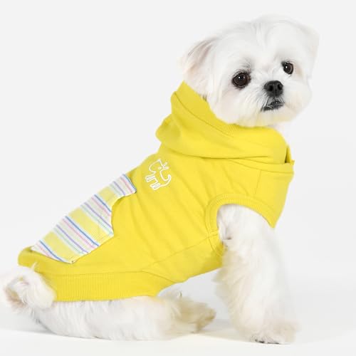 PHIDEAUX Hunde-Top-T-Shirt Yellow L von Puppia