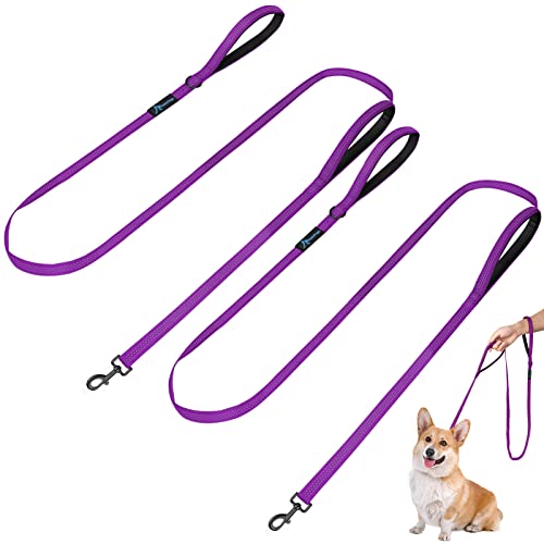 PuppyDoggy Hundeleine für Kleine Bis Mittelgroße Hunde 1,8 m / 6 ft mit 3 Reflektierenden Nähten 2 Gepolsterten Verkehr Griffen Haustierleine für Das Lauf Gehtraining (1.8m x 1.5cm – Lila 2 Pack) von PuppyDoggy