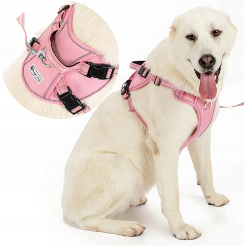 Hundegeschirr mit Leine Set | Verstellbares atmungsaktives reflektierend, gepolstert und atmungsaktiv Brustgeschirr mit Griff und Frontbügel für tägliches Training (L, Rosa) von PuppyJoy