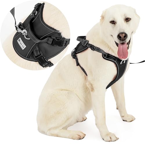 Hundegeschirr mit Leine Set | Verstellbares atmungsaktives reflektierend, gepolstert und atmungsaktiv Brustgeschirr mit Griff und Frontbügel für tägliches Training (L, Schwarz) von PuppyJoy