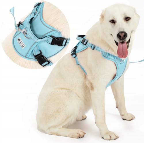 Hundegeschirr mit Leine Set | Verstellbares atmungsaktives reflektierend, gepolstert und atmungsaktiv Brustgeschirr mit Griff und Frontbügel für tägliches Training (XL, Blau) von PuppyJoy