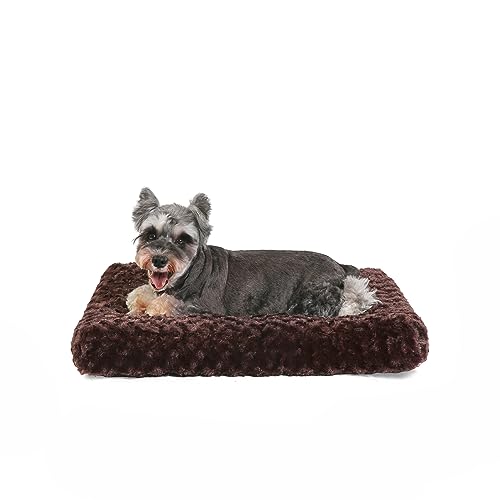 PuppyPalace Deluxe-Hundebox-Bett, Hundekissen für kleine Hunde und Katzen, Hundebett für Kiste, flauschiges Hundekissen, Plüsch-Hundehütte, waschbare Hundebox-Polsterung (Braun, XXS 43,2 x 30,5 cm) von PuppyPalace