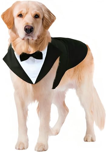 Puptail Hundeanzug oder Smoking und Bandana, Set für Hunde, Hochzeits-Party, Hunde-Hochzeits-Fliege, Hemd, formelle Hundekleidung für große und mittelgroße Hunde, Golden Retriever, Labrador (Größe L) von Puptail