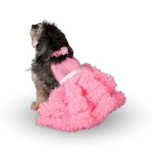 Puptail Hundekleid mit schönem Hundehalstuch, für mittelgroße Hunde und große Hunde wie Shish Tzu, Labrador, Golden Retriever, Mops und Katzentücher, Größe XL, Rosa von Puptail