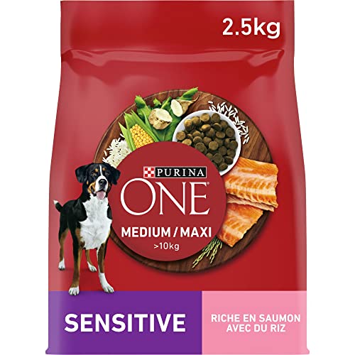 PURINA ONE Medium/Maxi > 10 kg | Erwachsene | Sensitive | Reich an Lachs für Hunde | Beutel mit 2,5 kg von PURINA ONE