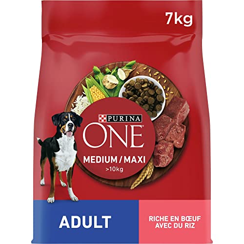 PURINA ONE Medium/Maxi > 10 kg | Erwachsene | Trockenfutter mit Rindfleisch für Erwachsene Hunde | 7 kg Beutel von PURINA ONE