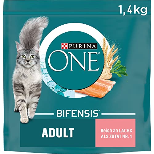 PURINA ONE BIFENSIS Adult Katzenfutter trocken, reich an Lachs, 6er Pack (6 x 1,4kg) von PURINA ONE