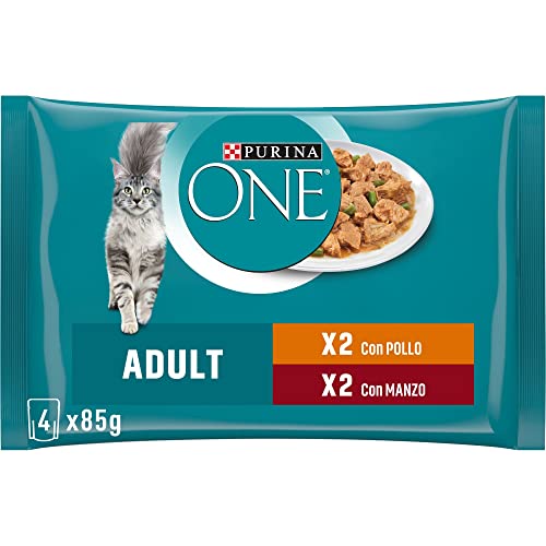 PURINA ONE Feuchte Erwachsene Katze Threads in Sauce mit Huhn und grünen Bohnen, mit Rindfleisch und Karotten - 48 Beutel à 85 g je (12 Packungen à 4 x 85 g) von PURINA ONE