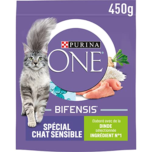 Purina One Special Cat Sensitive to Truthahn und Reis Trockenfutter für ausgewachsene Katzen, 450 g (10er-Packung) von PURINA ONE