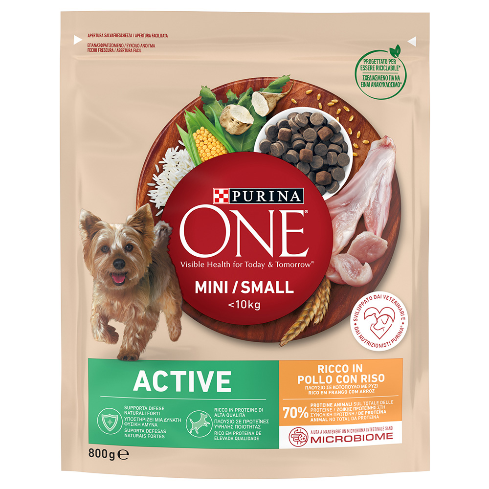 PURINA ONE Mini Active Huhn & Reis - 800 g von Purina One