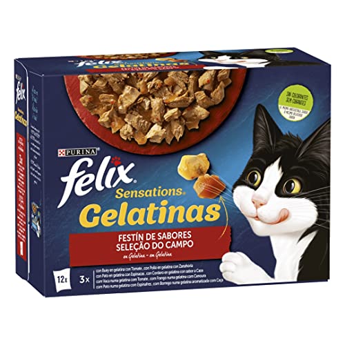 Felix Feline Adult Sensations Gelatinas Carne 12X85GR von Purina