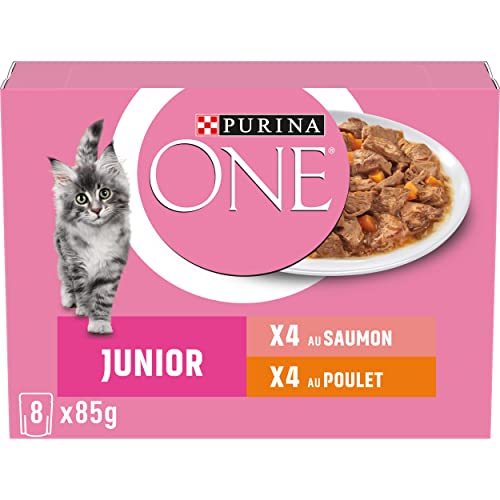 PURINA One Junior Dispersions-Sauce, Verschiedene Geschmacksrichtungen, Lachs und Huhn, für Kätzchen, 8 x 85 g von PURINA ONE