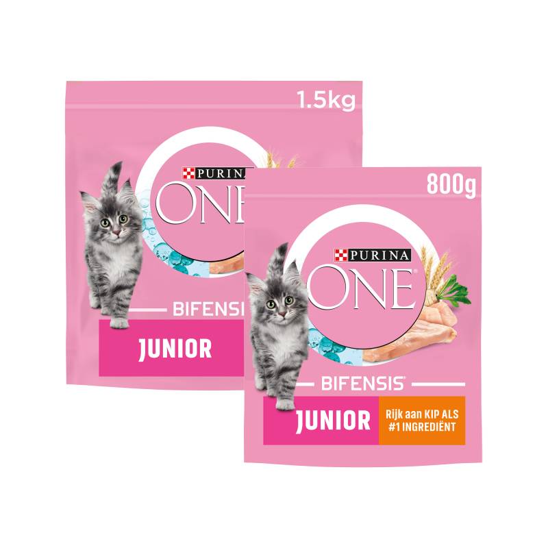 Purina ONE Junior - Huhn - 800 g von Purina