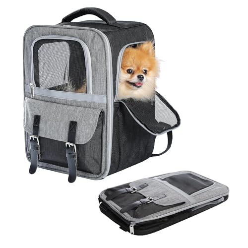 PurpurRain Haustier Rucksack Katzenrucksack Hunderucksack, Tiertransporttasche für Kleine und Katzen Hunde bis 7 kg von PurpurRain