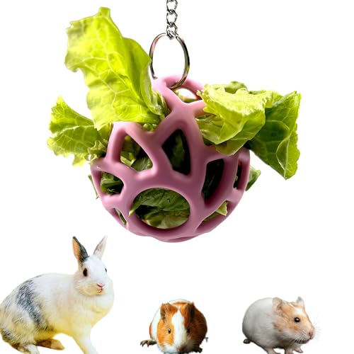 Kaninchen-Leckerli-Ball mit verstellbarem Aufhänger-Set, Silikon-Heu-Futterspender und Edelstahl-Aufhänger für Kaninchen, Eichhörnchen, Igel, Schildkröte, Meerschweinchen, Haustiere, Leckerli-Ball, von PurrrfectionPet