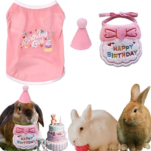 Mini Geburtstag Hüte und Kaninchen Kleidung mit Lätzchen Schal Set, Partyhut und Häschen Kleidung für Kleintiere Hund Katze Meerschweinchen Frettchen Igel Geburtstag Outfits für Haustiere Kaninchen von PurrrfectionPet