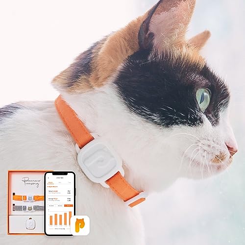 Purrsong LavvieTag Smart Cat Health Tracker - Locate Missing Cat - Waterproof von Purrsong