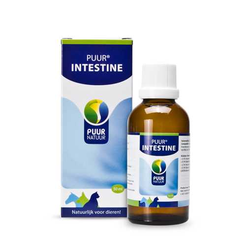 Puur Intestine (ehemals Puur Darm) - 50 ml von Puur