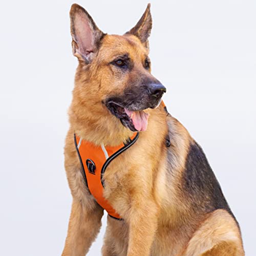 Puwihoe Hundegeschirr, kein Ziehen, reflektierend, mit einfachem Griff und Clips vorne und hinten, verstellbar, atmungsaktiv, weich gepolstert, für Deutscher Schäferhund, Orange, XL von Puwihoe