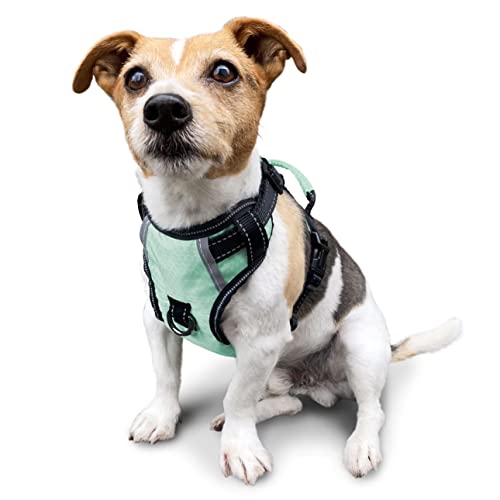 Puwihoe Hundegeschirr, kein Ziehen, reflektierend, mit einfachem Griff und Clips vorne und hinten, verstellbar, atmungsaktiv, weich gepolstert, für große, mittelgroße und kleine Hunde, grün, S von Puwihoe