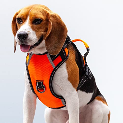 Puwihoe Hundegeschirr ohne Ziehen, reflektierend, mit einfachem Griff und Clips vorne und hinten, verstellbar, atmungsaktiv, weich gepolstert, für große, mittelgroße und kleine Hunde, Orange, M von Puwihoe