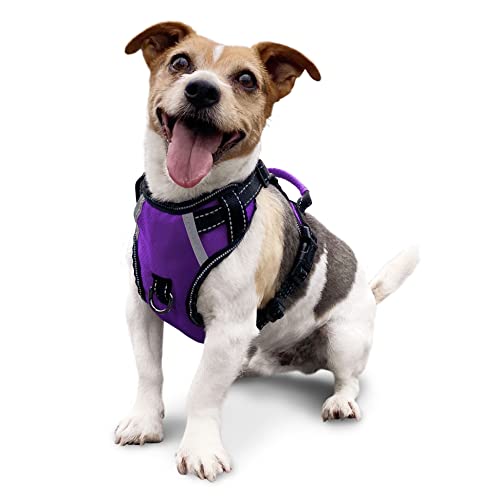Puwihoe Hundegeschirr ohne Ziehen, reflektierend, mit einfachem Griff und Clips vorne und hinten, verstellbar, atmungsaktiv, weich gepolstert, für große, mittelgroße und kleine Hunde, lila, S von Puwihoe