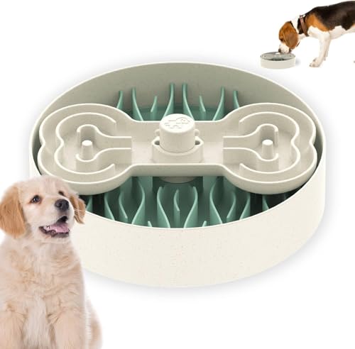 Puzzle Feeder Hundenapf, Slow Feeder Dog Bowls for Dogs, Dog Bowl Slow Feeder for Dry, Wet and Raw Food, Dog Puzzle Dog Food Bowls for Big Dogs, 9,8 Zoll, Grün von Puzzle Feeder