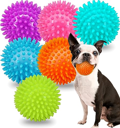 6,3 cm quietschender Hundeball für Welpen, 6 Stück kleine Hundespielzeuge mit Spieß, Hunde-Kauspielzeug für mittelgroße Hunde, Welpenspielzeug für Zahnreinigung und Training von Pweituoet