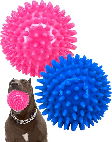 Pweituoet 2 Stück 11,4 cm robuster Quietsch-Hundeball für mittelgroße und große Hunde, stacheliges Hundespielzeug für saubere Zähne und Training, großes Hundespielzeug für aggressives Kauen, Blau / von Pweituoet