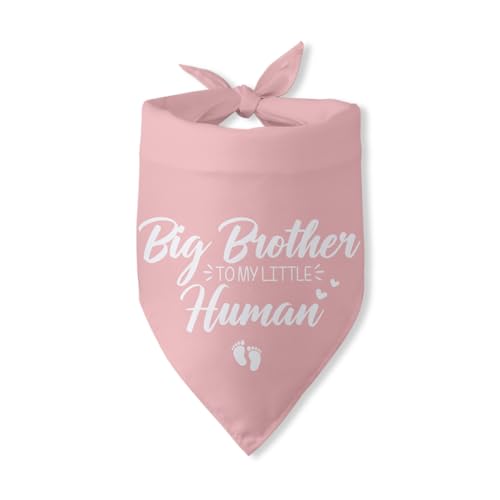 Baby Ankündigung Hund Bandana Big Brother to My Little Human Gender Reveal Hund Dreieckstuch Schwangerschaft Ankündigung Foto Requisiten Welpen Bandanas Junge von Pwrlveiut