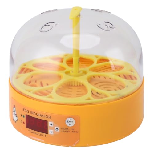 6-Eier-Inkubator, Automatische Temperatur- und Luftfeuchtigkeitskontrolle, Visuelle Beobachtung, Geeignet für Hühner-Enteneier, Geräuscharmer Automatischer Eierdreh-Inkubator von Pyhodi