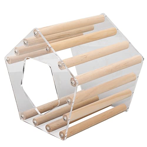 Pyhodi Minimalistisches Fünfeckiges Hamster-Holzhaus, Einfache, Leicht zu Reinigende Hamsterhütte Transparent für Golden Bear für Hamster von Pyhodi