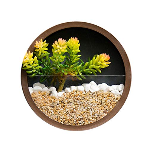 Pyugxab Wandvase zum Aufhängen, rund, 20,3 cm, für Sukkulenten, , Wanddekoration () von Pyugxab