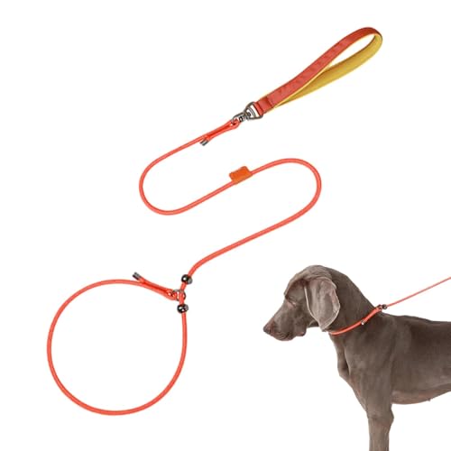 Hundeleinen für das Training, 150 cm, verstellbar, ausbruchsicher, großes Hundegeschirr, bequemer Griff, ausbruchsicher, verstellbar, um 360 Grad drehbar von Pzuryhg