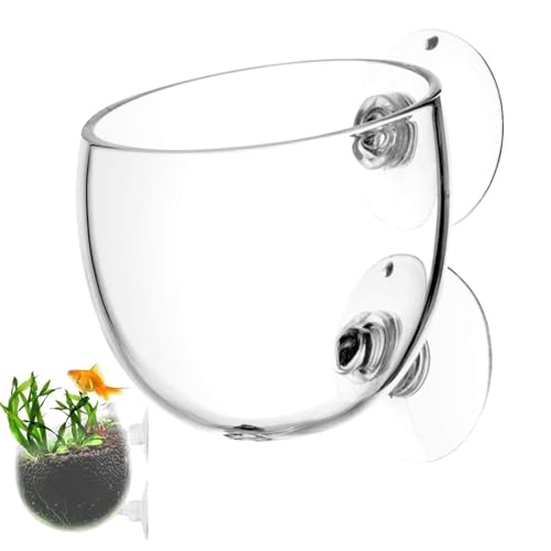 Pzuryhg Aquarium-Pflanzentopfhalter | Glas-Pflanzbecher mit Saugnäpfen, lebende Pflanzen, Aquarium-Dekoration für Aquarien von Pzuryhg