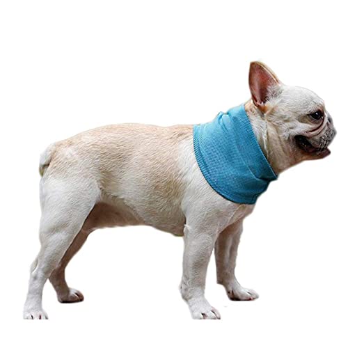 Q/A Pet Cooling Scarf, Pet Scarf in Sommer, Breathable Wrap Accessories for Dogs Cats in Summer, Instant Ice Neck Scarf, Bibs Scarf for Small Medium Large Dogs Zmky von Q/A