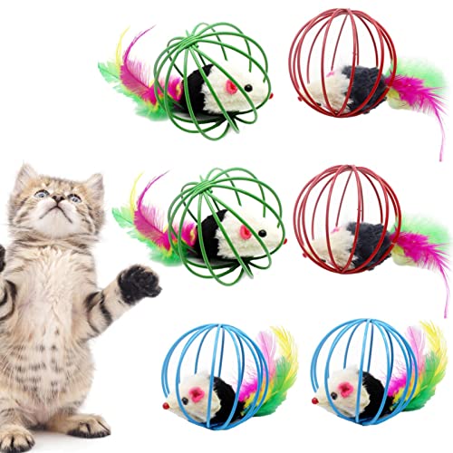 Katzenspielzeug für Wohnungskatzen - 6 Stück Rolling Cat Toy Ball Cat Mouse Ball Cage mit Feder - Rolling Cat Balls Playful Coils Action Toy Caged Rats für Kätzchen Cat Pet Supplies Indoor Play Qarido von QARIDO