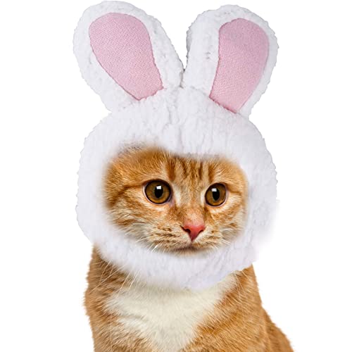 QARIDO 5 Pcs Katzen-Kaninchen-Mütze,Kaninchen-Hundemütze, Katzenkostüm, Süße Katze Hase Halloween Party Kostüm Zubehör für Pomeranian Chihuahua Haustier Cosplay Dress Up Ostern Haustier Zubehör von QARIDO