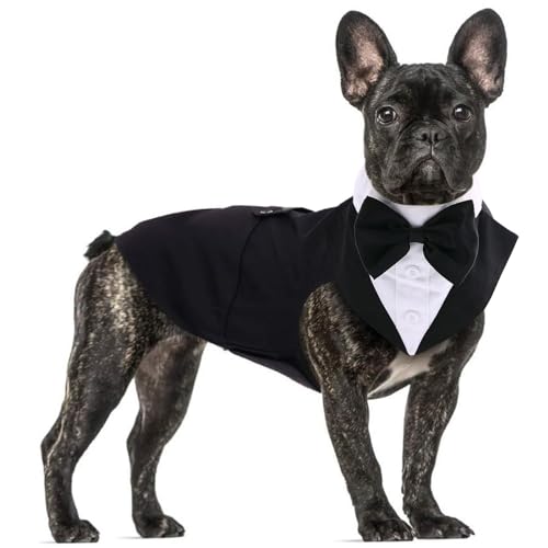 Formeller Smokinganzug für mittelgroße und große Hunde, Smoking-Kostüm, Hochzeitsparty-Outfit mit abnehmbarem Kragen, Elegante Hundebekleidung mit Fliege und Halstuch, Set für Cosplay, Urlaub von QBLEEV