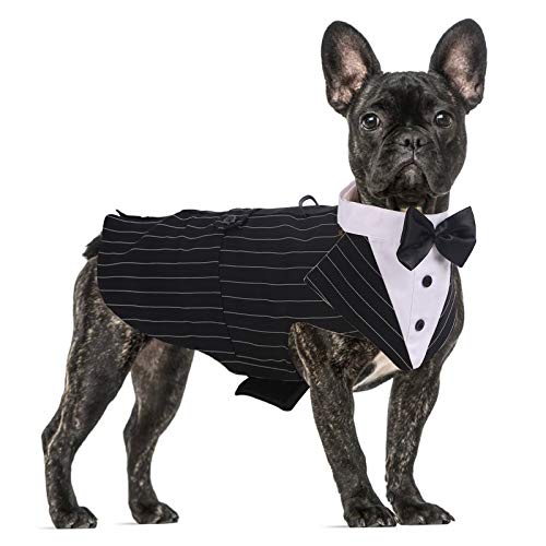 Formeller Smokinganzug für mittelgroße und große Hunde, Smoking-Kostüm, Hochzeitsparty-Outfit mit abnehmbarem Kragen, Elegante Hundebekleidung mit Fliege und Halstuch, Set für Cosplay, Urlaub von QBLEEV