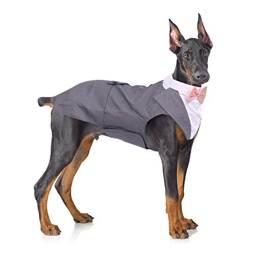 Formeller Smokinganzug für mittelgroße und große Hunde, Smoking-Kostüm, Hochzeitsparty-Outfit mit abnehmbarem Kragen, Elegante Hundebekleidung mit Fliege und Halstuch, Set für Cosplay, Urlaub von QBLEEV