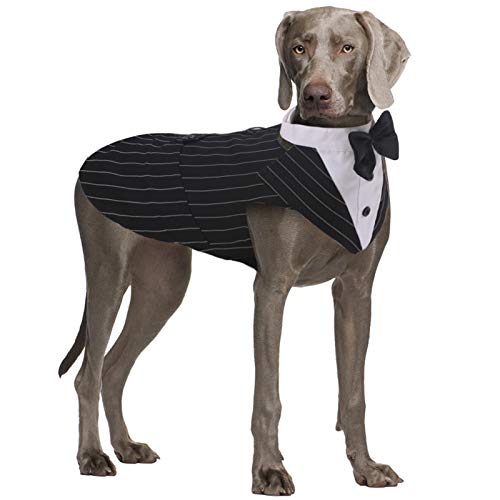 Formeller Smokinganzug für mittelgroße und große Hunde, Smoking-Kostüm, Hochzeitsparty-Outfit mit abnehmbarem Kragen, Elegante Hundebekleidung mit Fliege und Halstuch, Set für Cosplay, Urlaub von QBLEEV