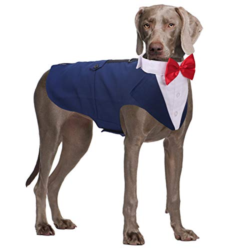 Formeller Smokinganzug für mittelgroße und große Hunde, Smoking-Kostüm, Hochzeitsparty-Outfit mit abnehmbarem Kragen, Elegante Hundebekleidung mit Fliege und Halstuch, Set für Cosplay, Urlaub von QBLEEV