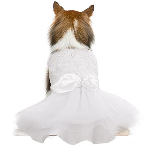 Hundekleid mit Tutu-Rock für kleine und mittelgroße Hunde und Welpen, weiß, Prinzessinnenkleider mit Schleife und Rosen-Dekor, Haustier-Spitzenkostüm, Sommerbekleidung, Party, Urlaub (XXS) von QBLEEV