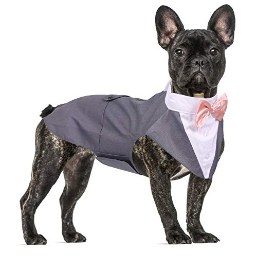 QBLEEV Dog Formal Tuxedo Suit for Medium Large Dogs，Dog Tuxedo Costume Wedding Party Outfit with Detachable Collar，Elegant Dog Apparel Bowtie Shirt and Bandana Set for Dress-up Cosplay Holiday Wear von QBLEEV
