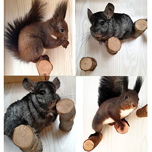 QBLEEV Hamster-Kauspielzeug für Zähne, Holz-Kaustäbchen, Sitzstangen für Eichhörnchen, Kaninchen, Käfig-Zubehör für Vögel, Papageien, Meerschweinchen, Chinchilla, 3 Stück von QBLEEV