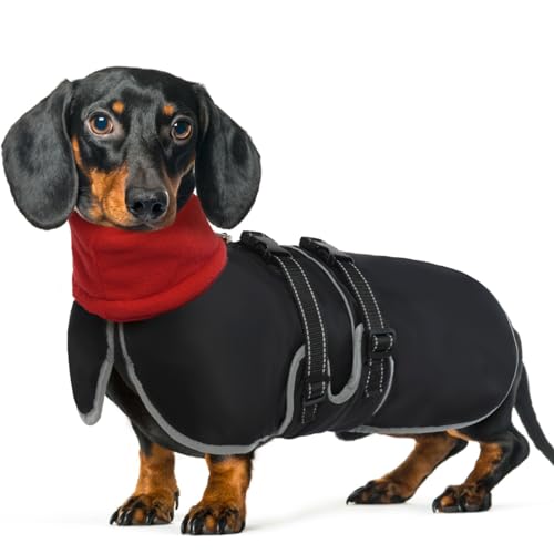 QBLEEV Hunde-Wintermantel, Dackel, warmer Hundemantel mit verstellbarer Schnalle, Weihnachts-Hundejacke für mittelgroße Hunde, Welpen, Hunde, Schneejacke, Fleece-gefüttert, Hundemantel, kaltes Wetter, von QBLEEV