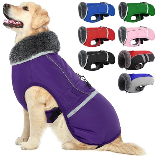 QBLEEV Hundejacke Winter, Hundemantel mit Bauchschutz, Hunde Wintermantel mit Rollkragen, Wasserdicht Hundebekleidung für Kleine Hunde, Lila S von QBLEEV