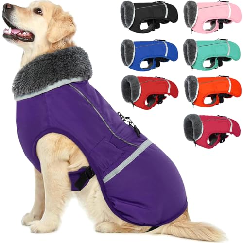 QBLEEV Hundejacke Winter, Hundemantel mit Bauchschutz, Hunde Wintermantel mit Rollkragen, Wasserdicht Hundebekleidung für Kleine Hunde, Lila S von QBLEEV